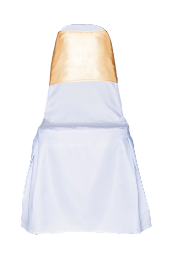 49806f589ff5c42caaf935fe2c5678d6.png